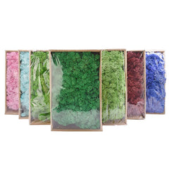 20/40g Artificial Green Plants Eternal Life Moss Grass Home Living Room Garden Decoration Mini Landscape Fake Flower DIY Crafts