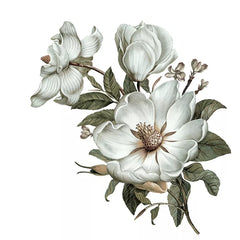 Three Ratels QC115  flowers wall sticker  Classical Magnolia for home  decoration wall sticker art for bedroom