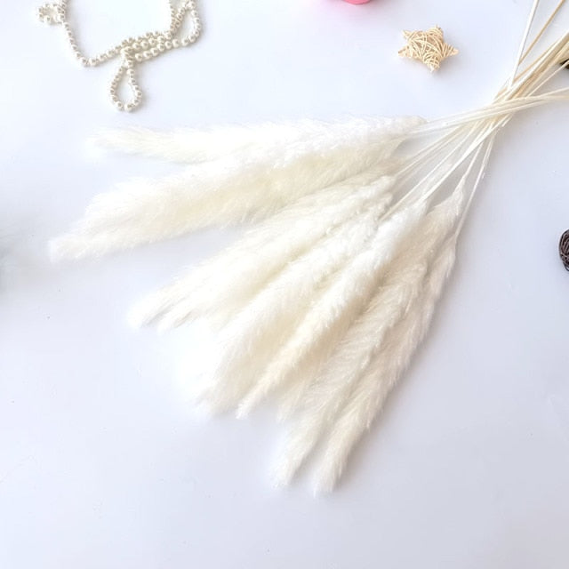 Grey Pampas Grass Decor Whit Dried Flowers Bouquet