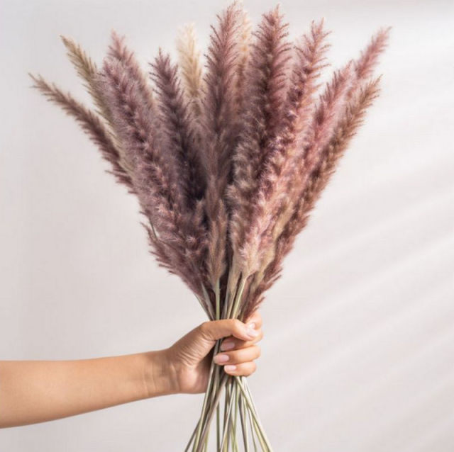 15pcs White Grey Pampas Grass Dried Flower